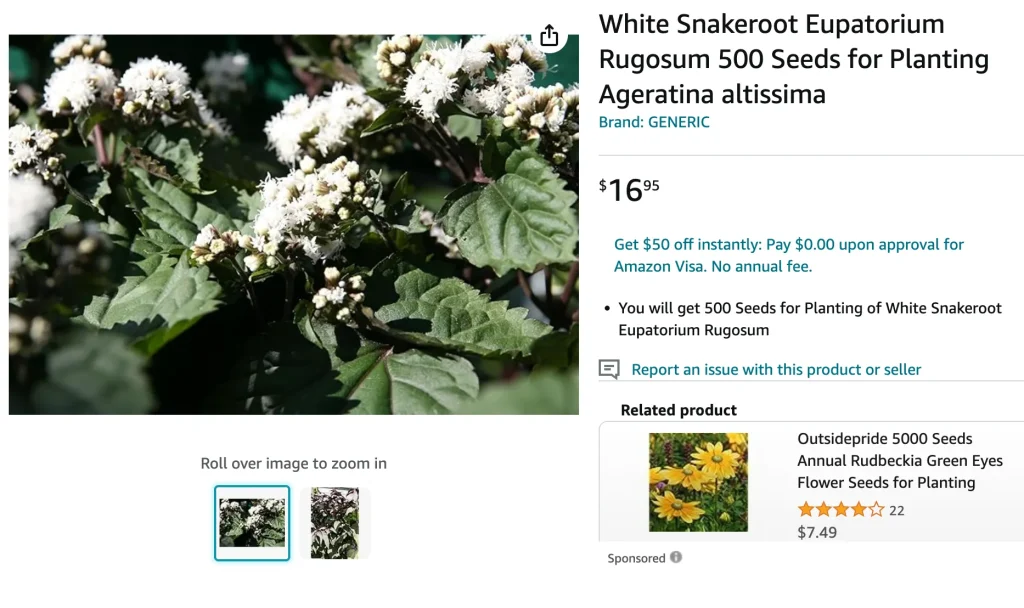 Ageratina Altissima | Monsteraholic