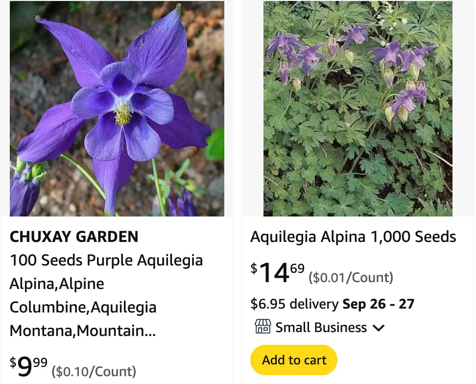 Aquilegia Alpina | Monsteraholic