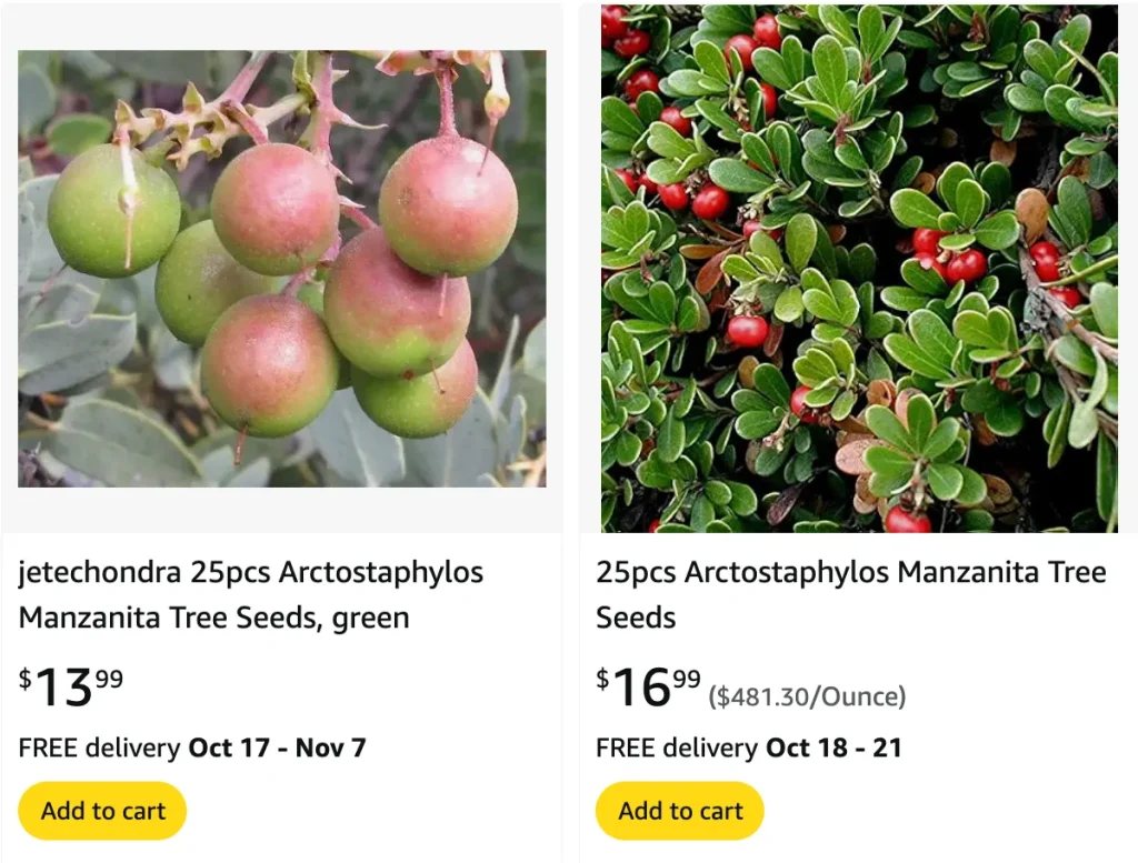 Arctostaphylos Manzanita | Monsteraholic