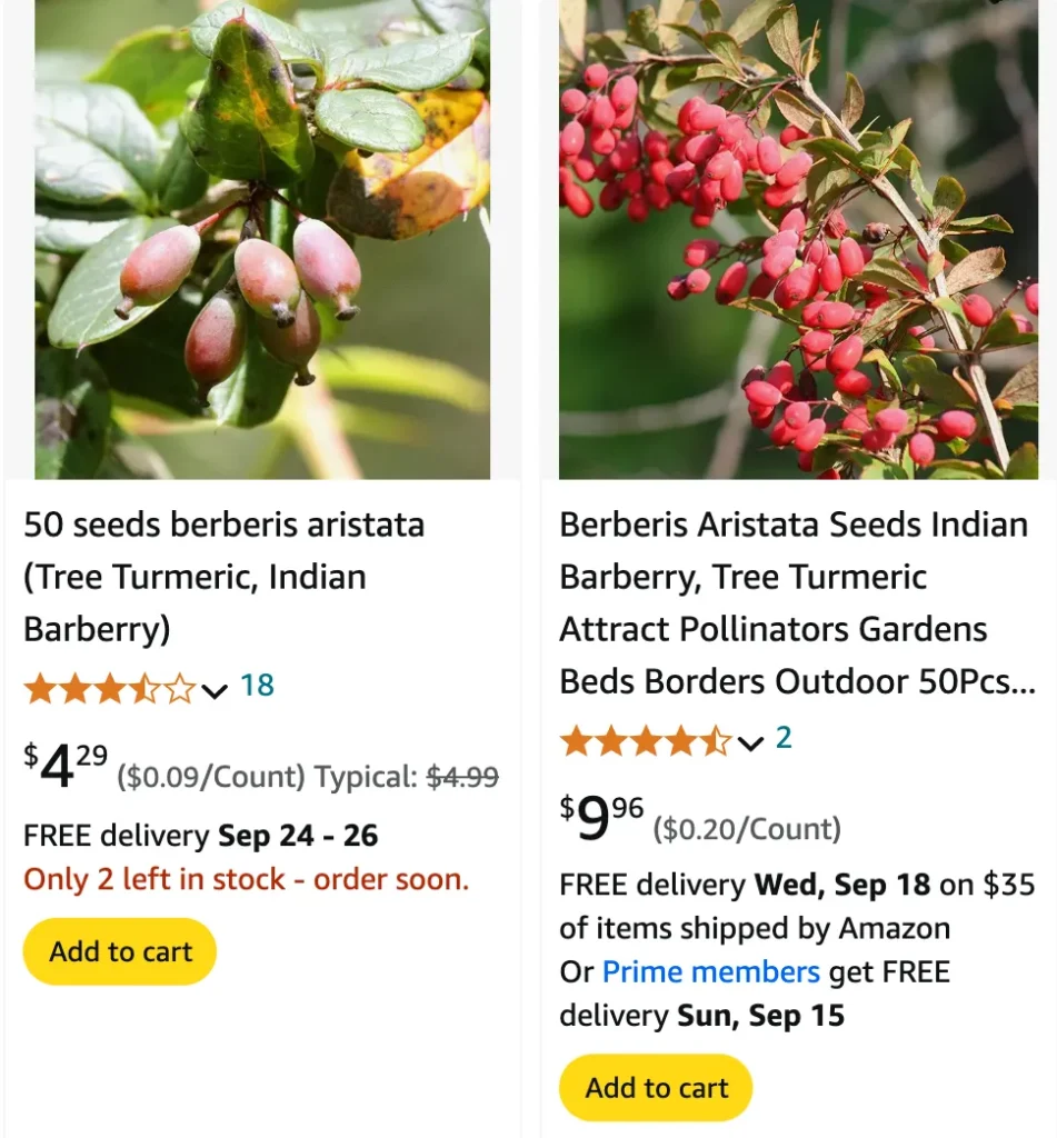 Plant FAQs: Berberis Aristata - Himalayan Barberry - Tree Turmeric