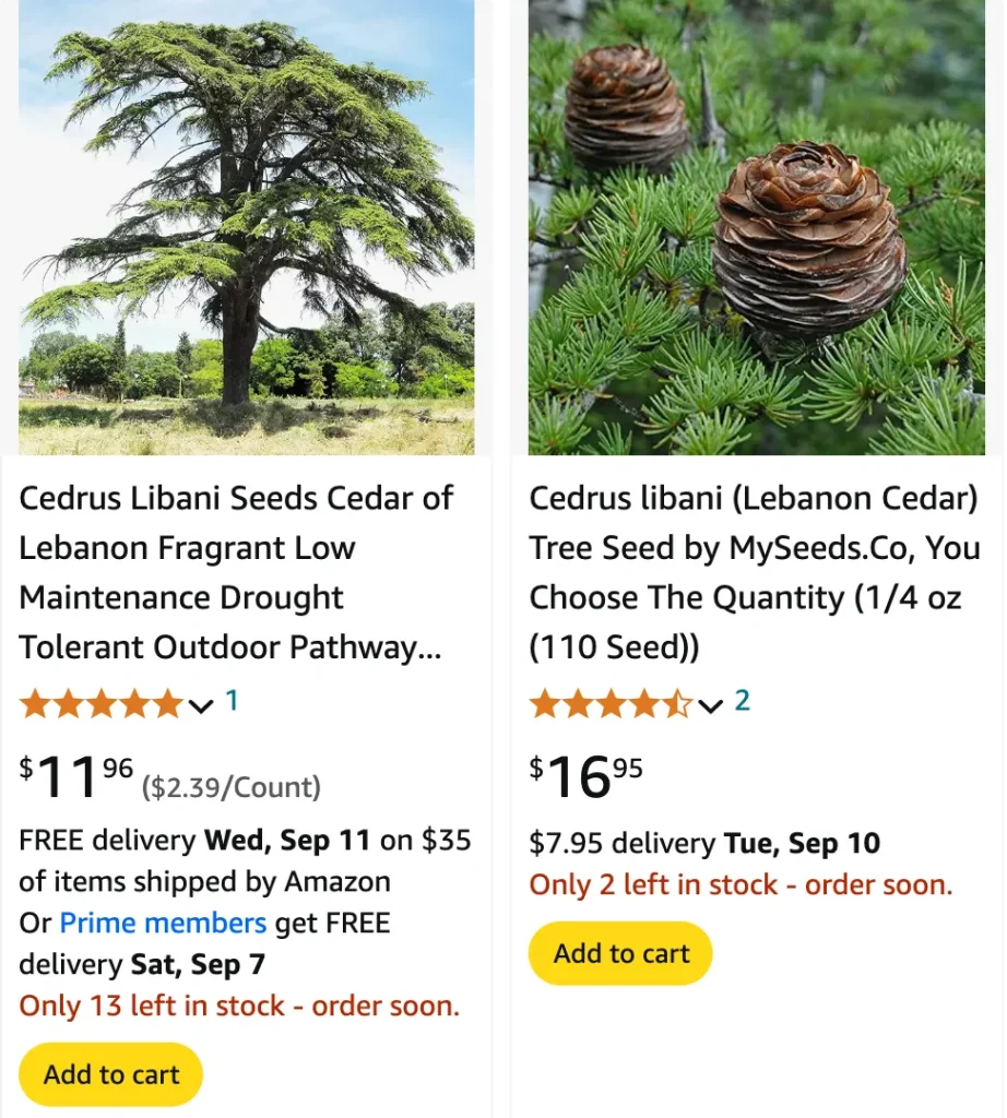 Plant FAQs: Cedrus Libani - Cedar of Lebanon