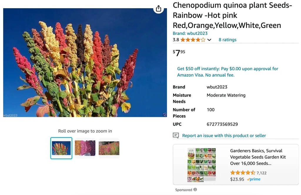 Chenopodium Quinoa | Monsteraholic