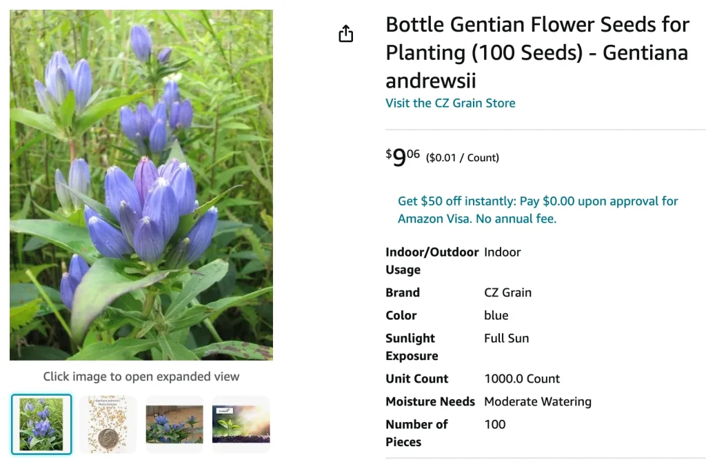 Gentiana Andrewsii | Monsteraholic