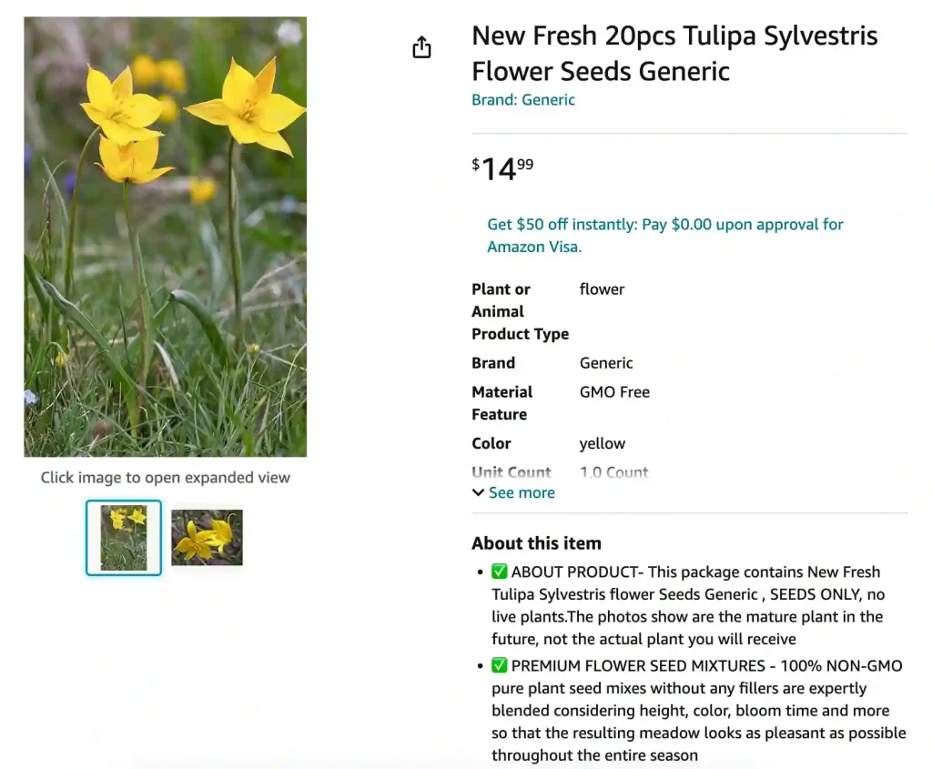 Tulipa Sylvestris | Monsteraholic