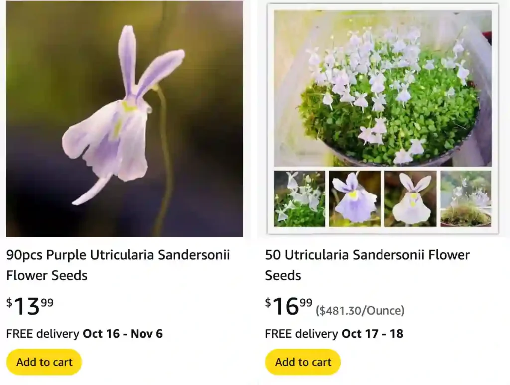 Utricularia Sandersonii | Monsteraholic