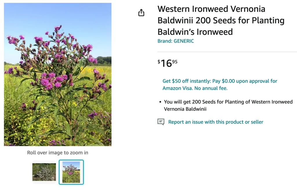 Vernonia Baldwinii | Monsteraholic