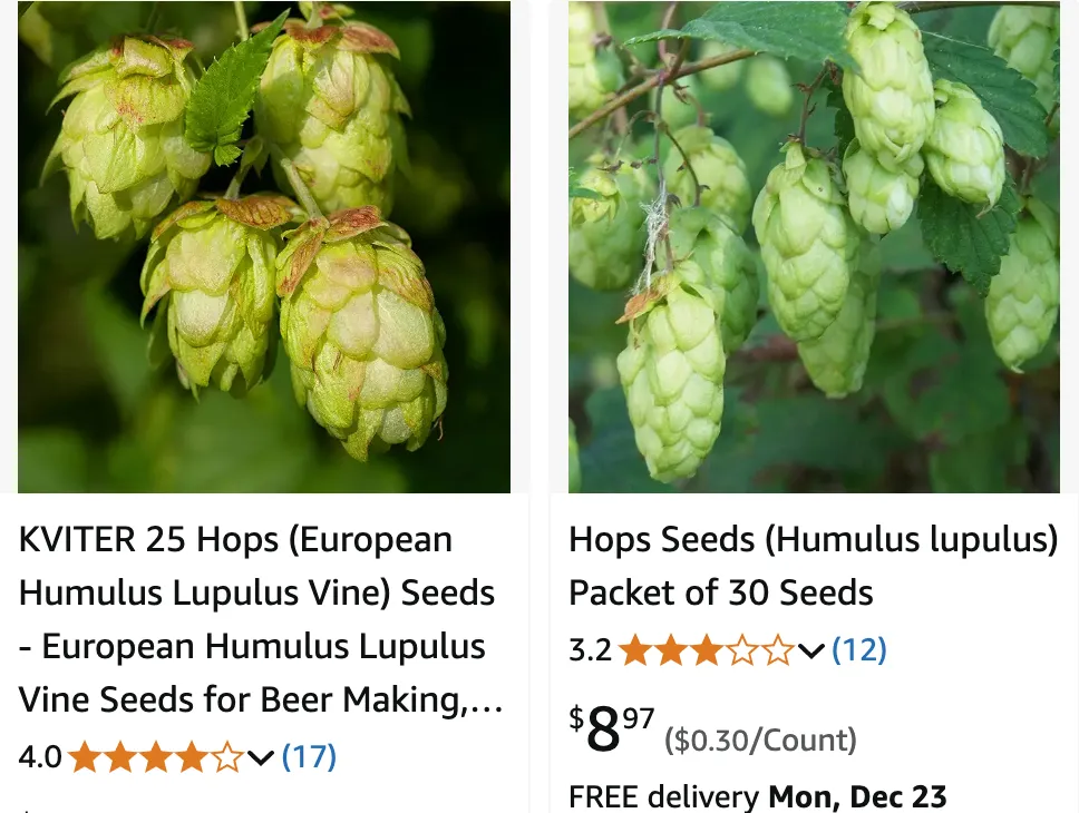 Humulus | Monsteraholic