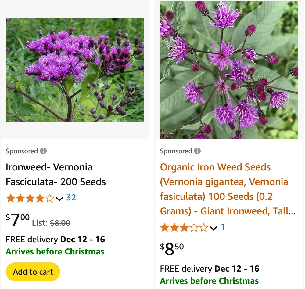 Vernonia | Monsteraholic