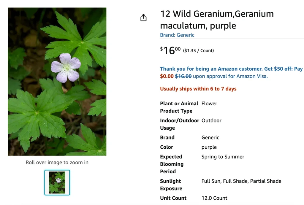 Geranium Maculatum | Monsteraholic