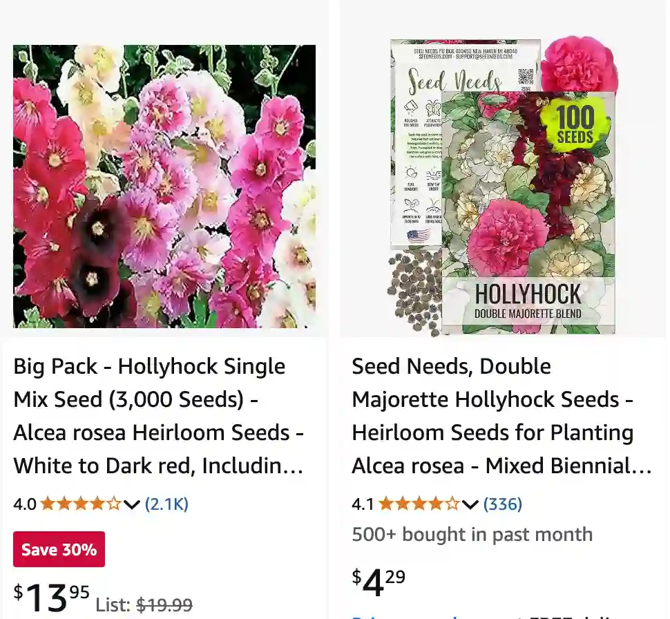 Alcea Rosea 1 | Monsteraholic