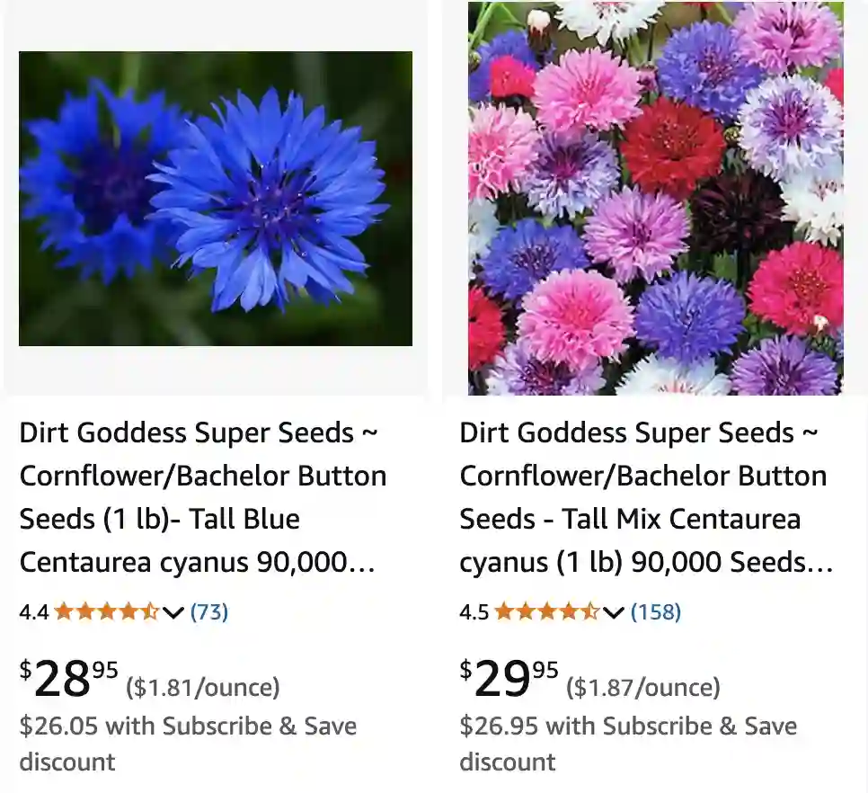 Centaurea Cyanus 1 | Monsteraholic