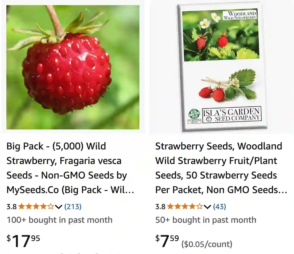 Fragaria Vesca 1 | Monsteraholic