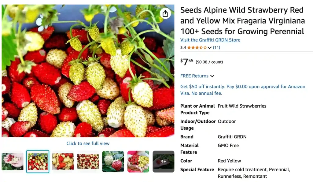 Fragaria Virginiana 1 Fragaria Virginiana 1 | Monsteraholic