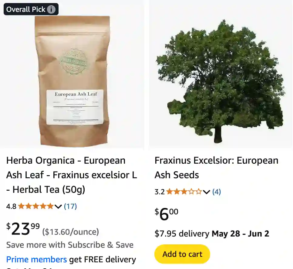 Fraxinus Excelsior - European Ash 1 Fraxinus Excelsior 1 | Monsteraholic