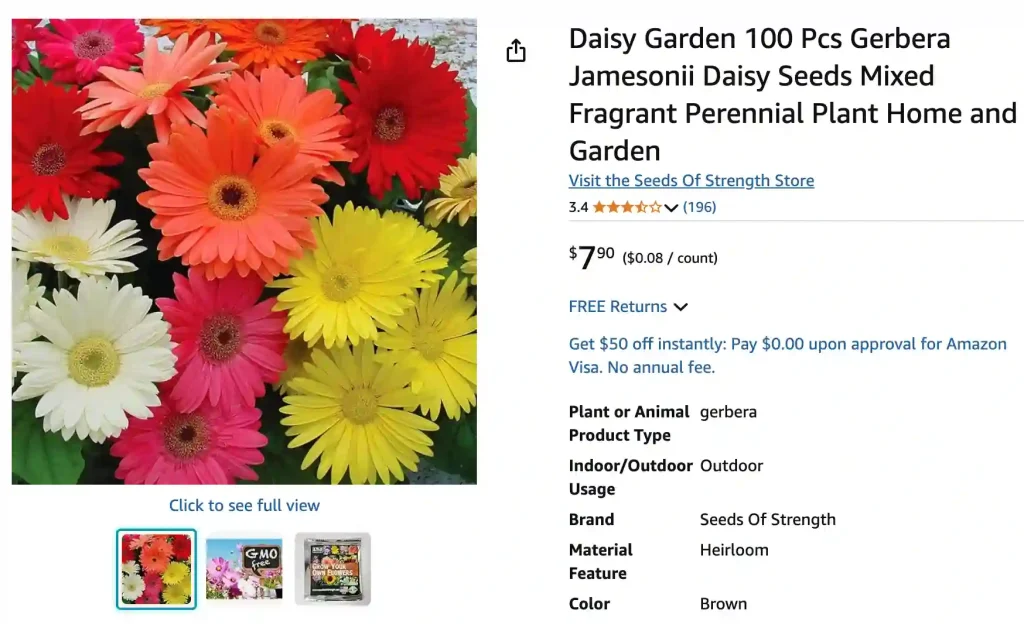 Gerbera Jamesonii 1 | Monsteraholic