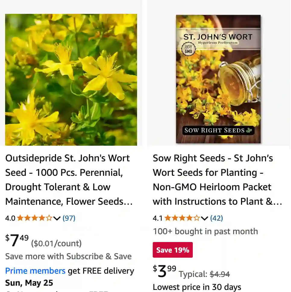 Hypericum Perforatum 1 | Monsteraholic