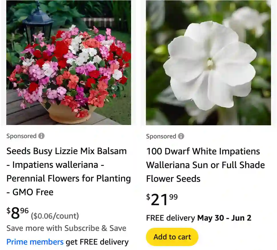 Impatiens Walleriana 1 | Monsteraholic