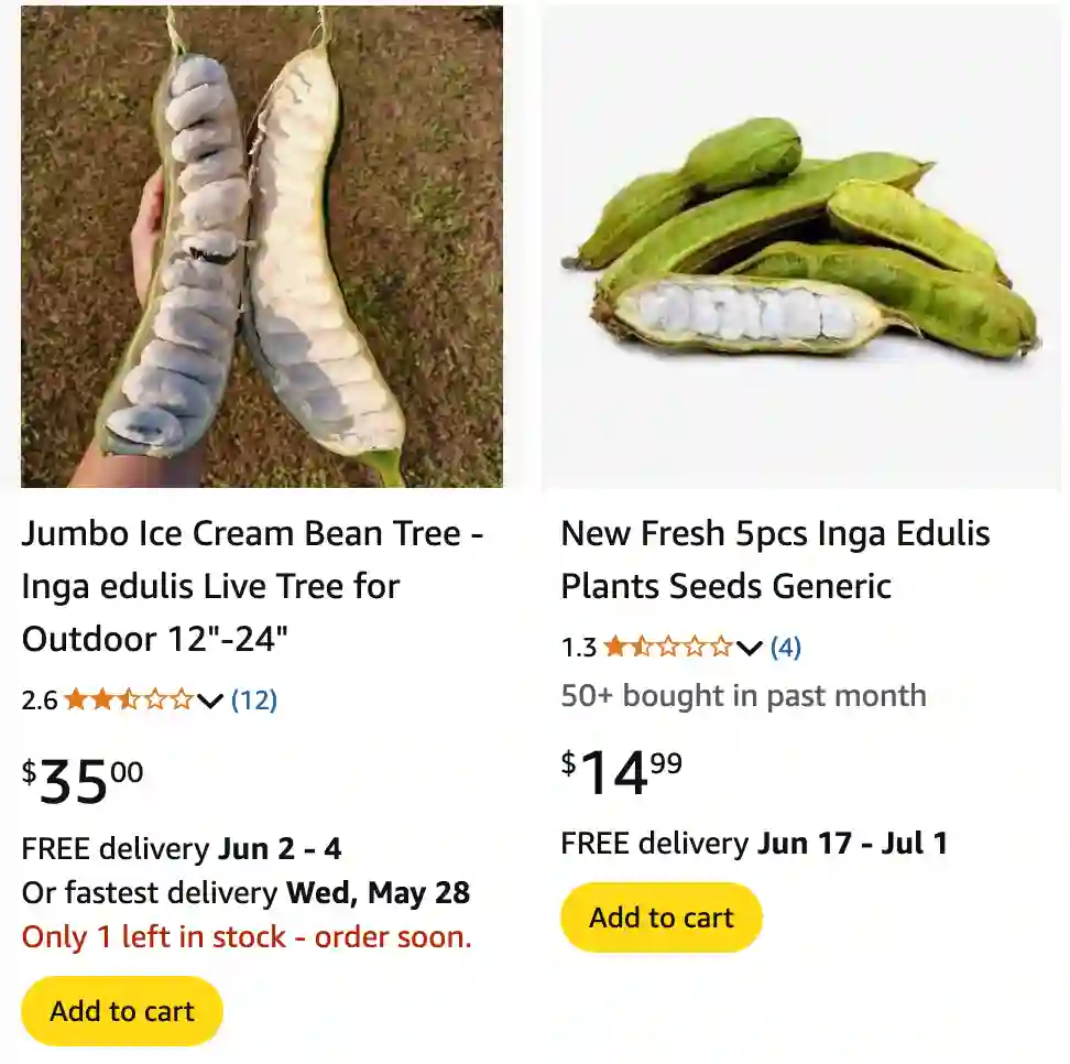 Inga Edulis 1 Inga Edulis 1 | Monsteraholic