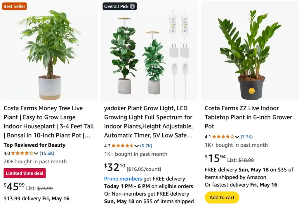 Low light indoor trees | Monsteraholic