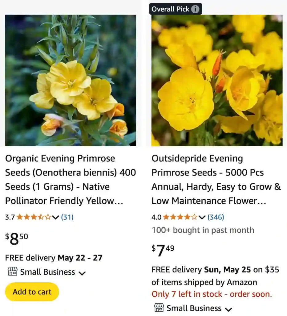 Oenothera Biennis 1 Oenothera Biennis 1 | Monsteraholic