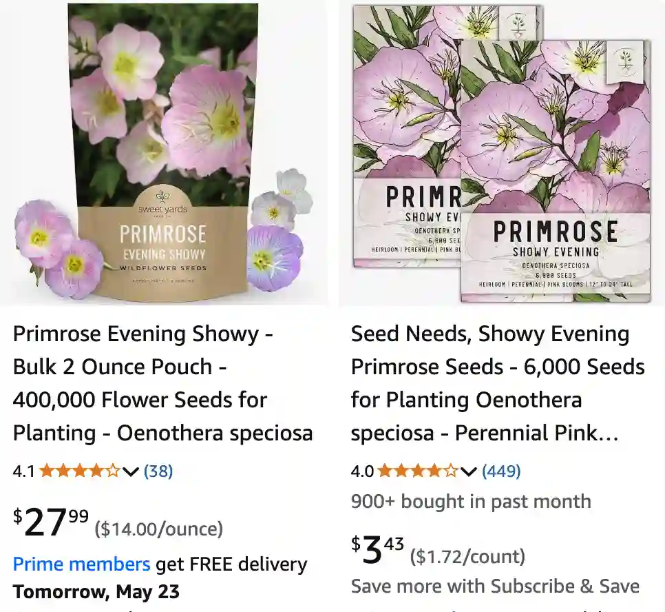 Oenothera Speciosa 1 | Monsteraholic