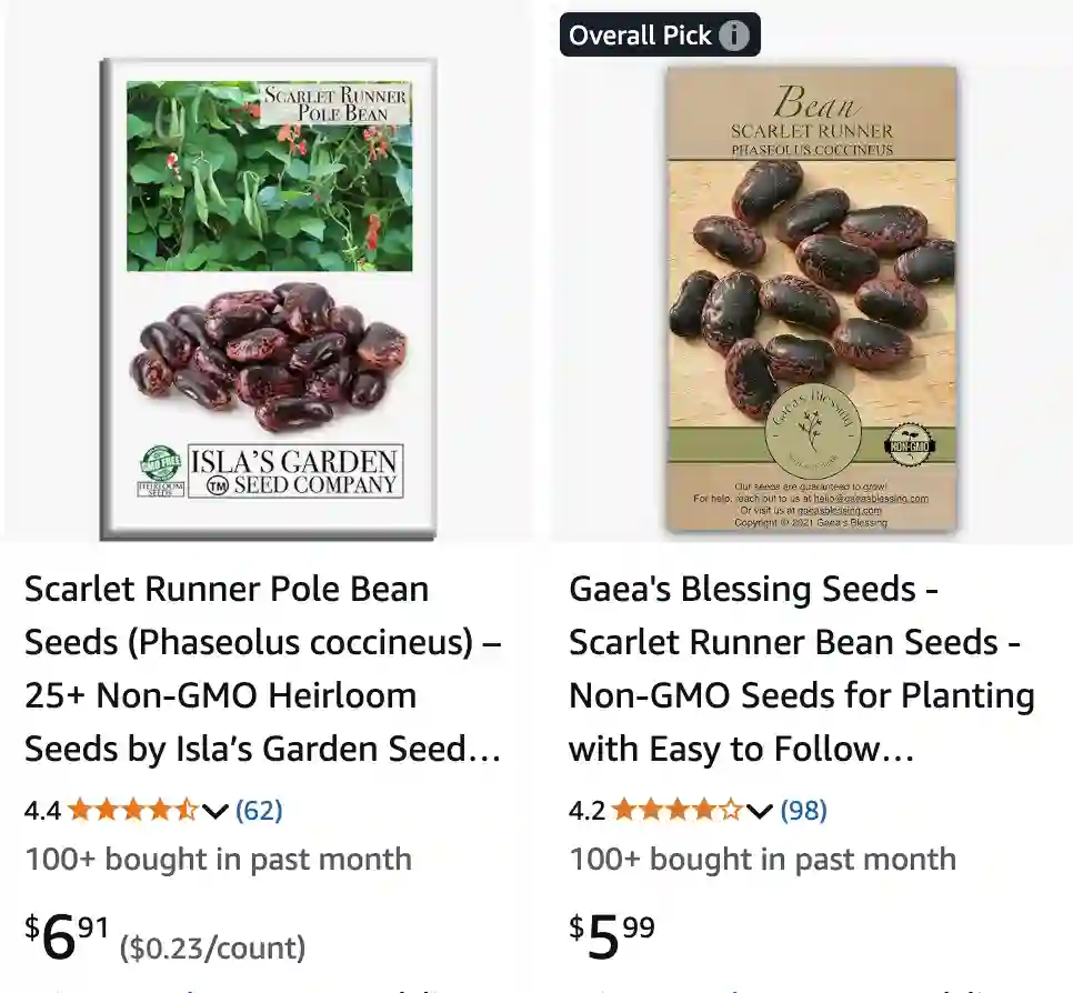 Phaseolus Coccineus - Scarlet Runner Bean 1 Phaseolus Coccineus 1 | Monsteraholic