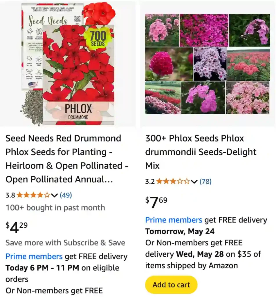 Phlox Drummondii 1 Phlox Drummondii 1 | Monsteraholic