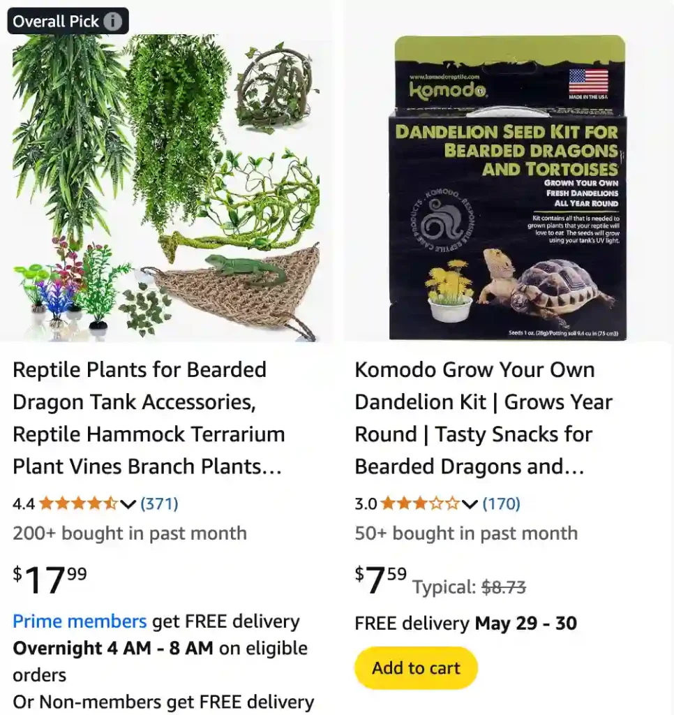 Plants Safe For Bearded Dragons 2 | Monsteraholic