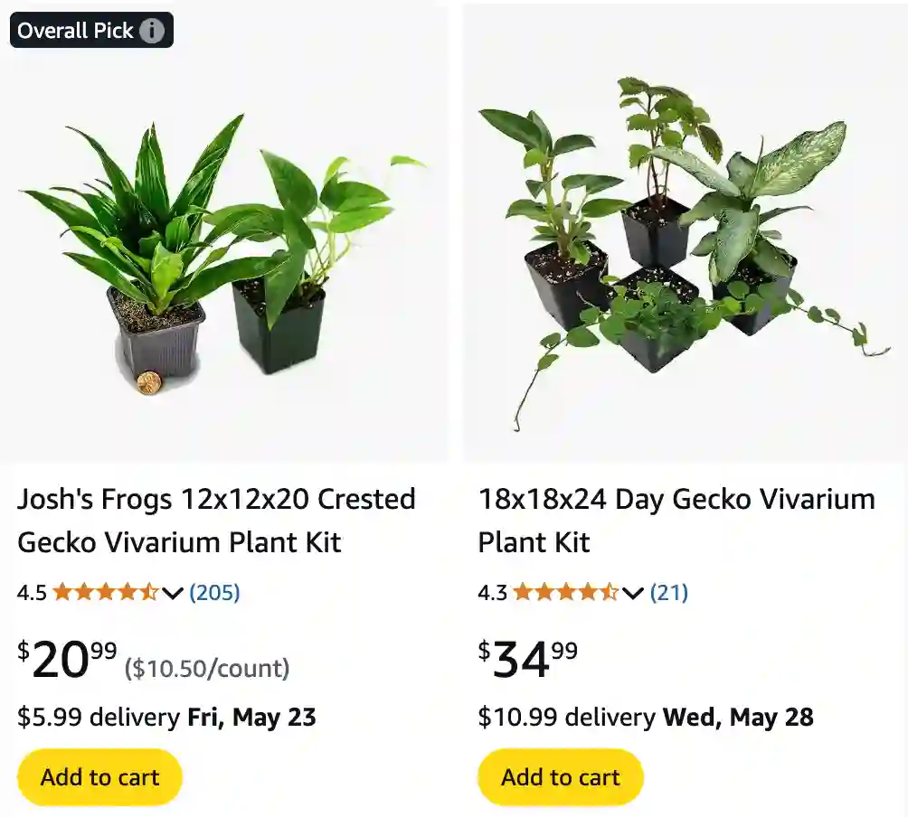 Plants Safe for Crested Geckos 2 | Monsteraholic