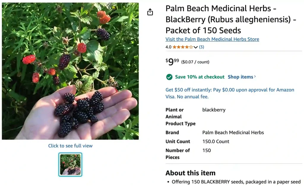 Rubus Allegheniensis 1 | Monsteraholic