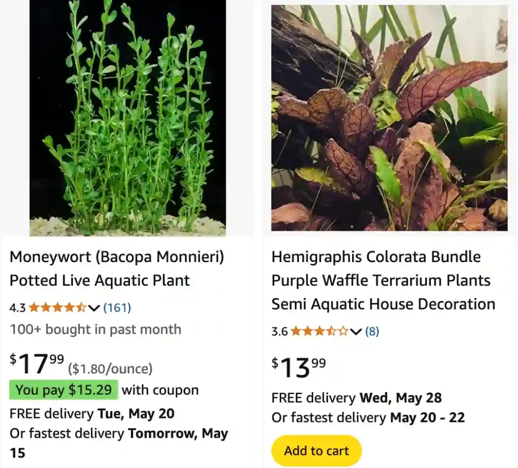 Semi Aquatic Plants | Monsteraholic