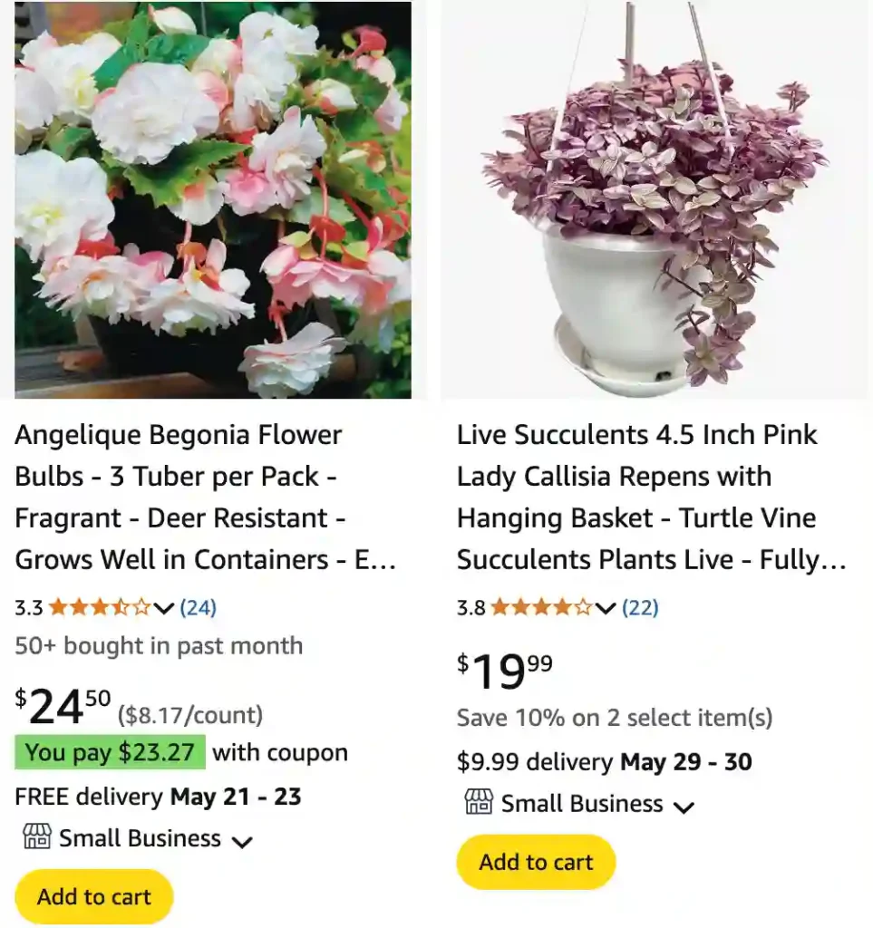 Shade Loving Plants For Hanging Baskets 1 Shade Loving Plants For Hanging Baskets 2 | Monsteraholic