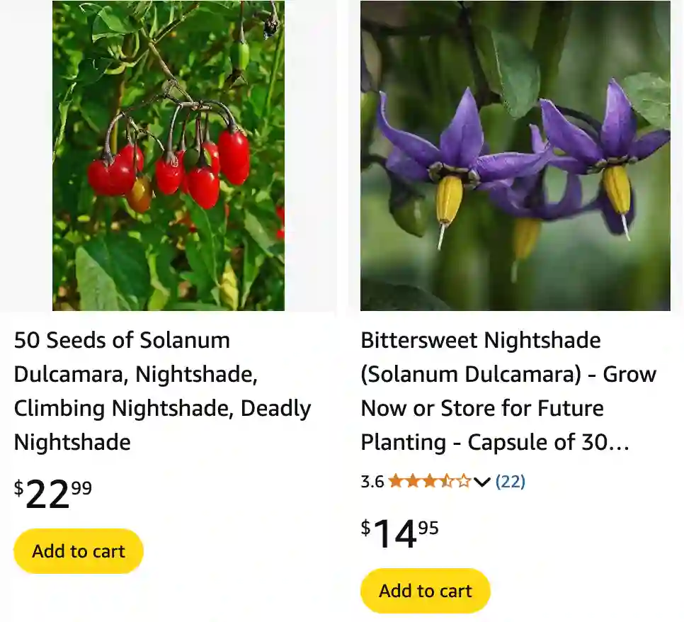 Solanum Dulcamara 1 | Monsteraholic