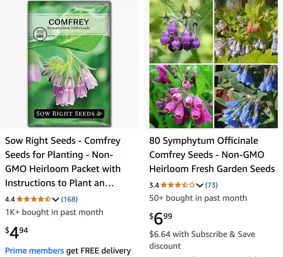 Symphytum Officinale - Comfrey 1 Symphytum Officinale 1 | Monsteraholic