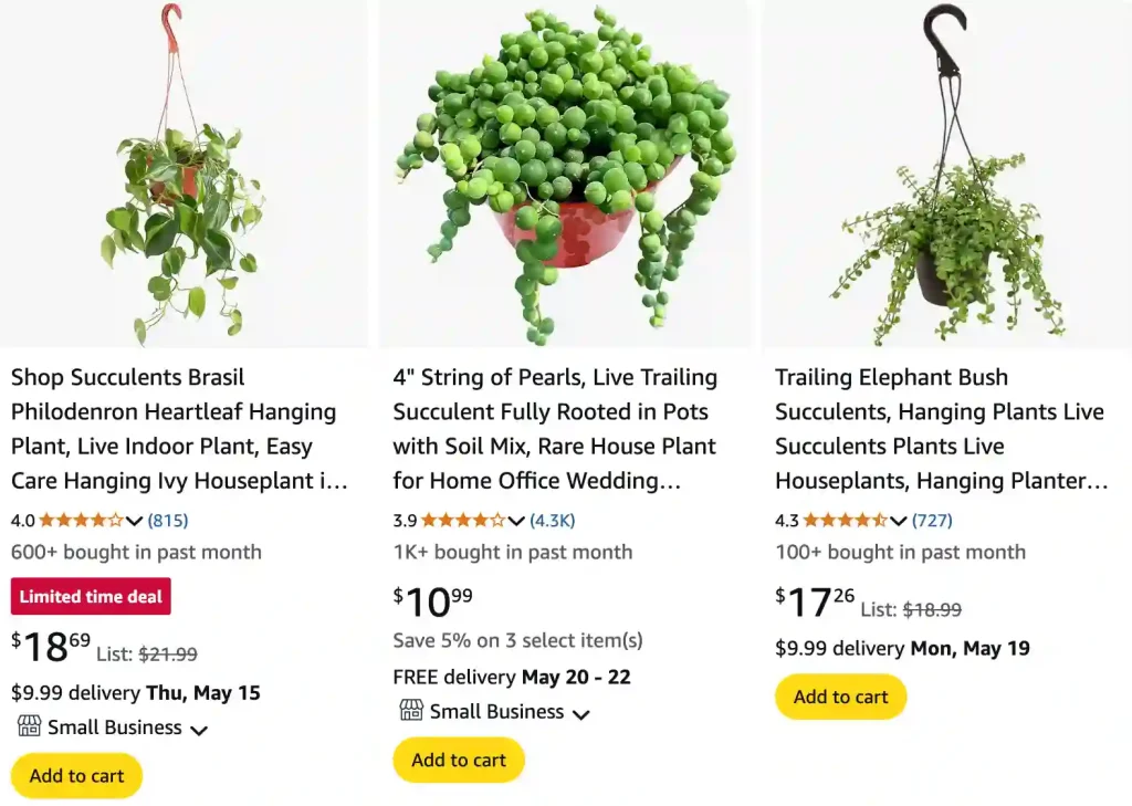 Trailing Plants 1 Trailing Plants | Monsteraholic