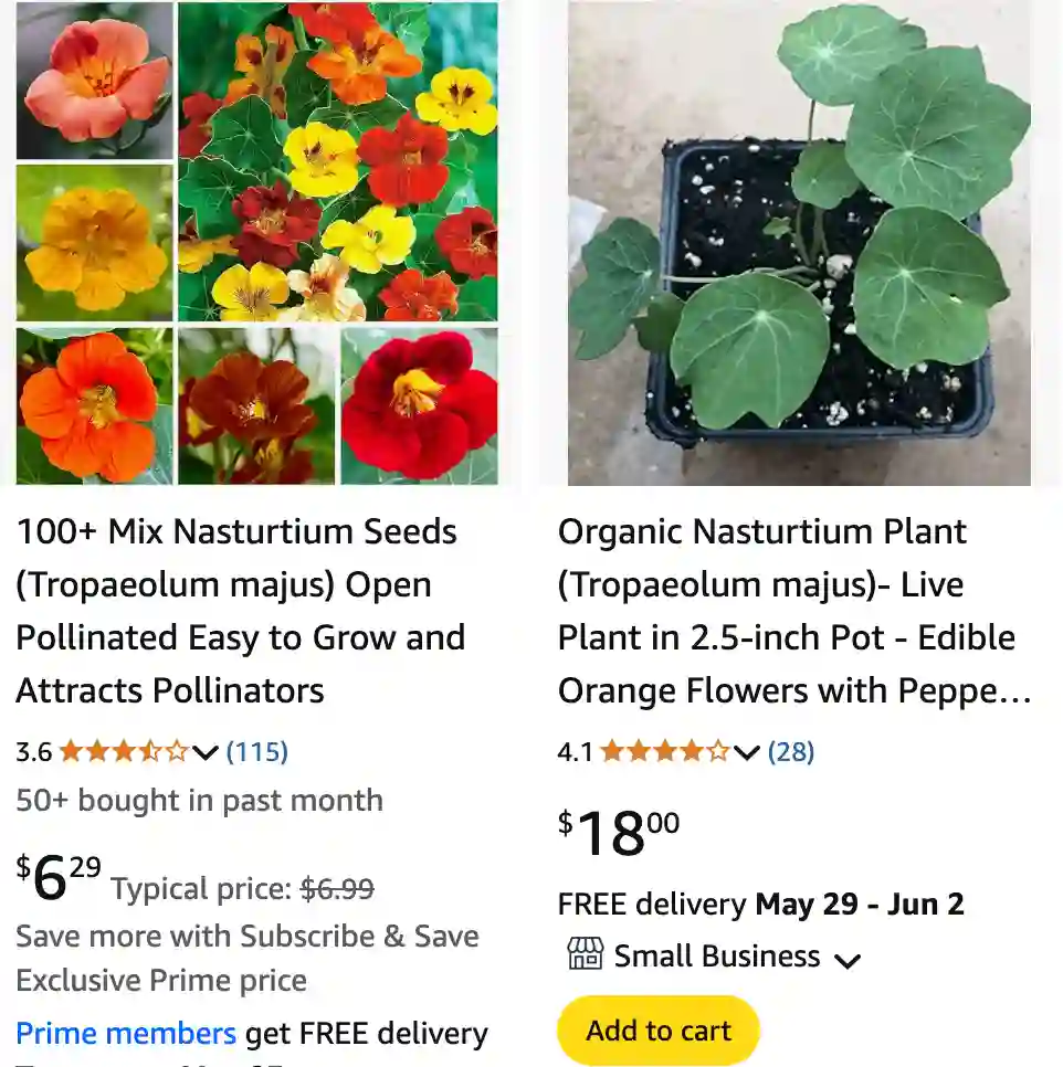 Tropaeolum Majus 1 | Monsteraholic