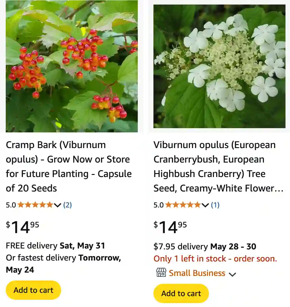 Viburnum Opulus 1 | Monsteraholic