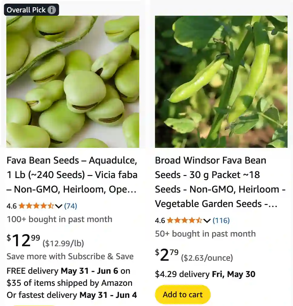 Vicia Faba 1 | Monsteraholic