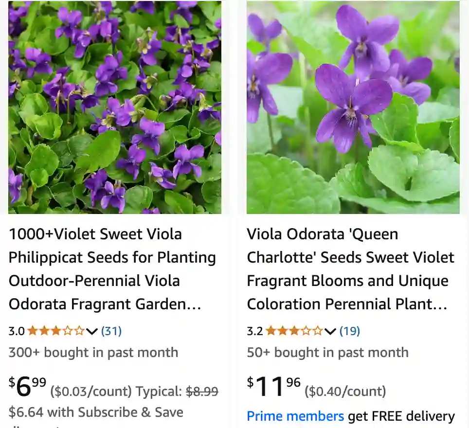 Viola Odorata 1 | Monsteraholic