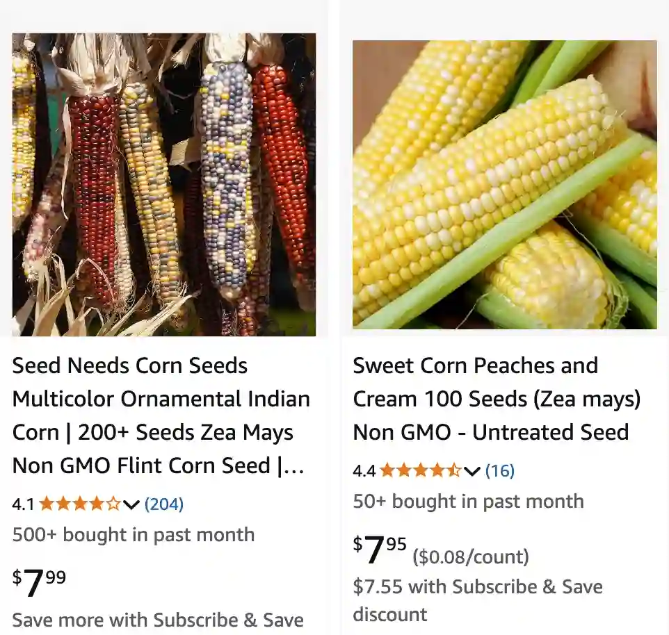 Zea Mays 1 | Monsteraholic