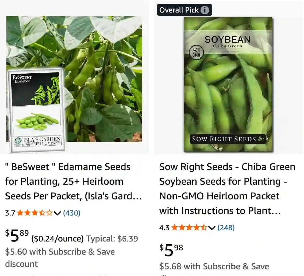 Glycine Max 2 | Monsteraholic