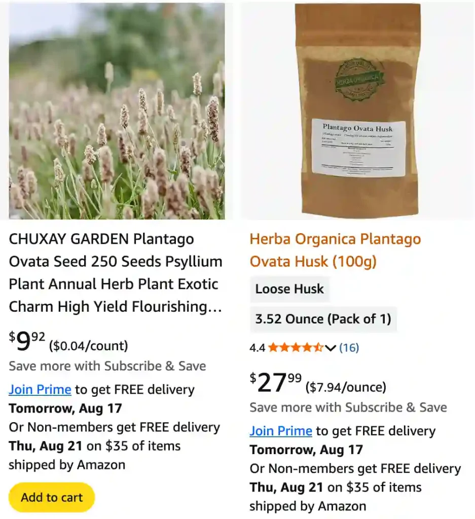 Plantago Ovata 2 | Monsteraholic