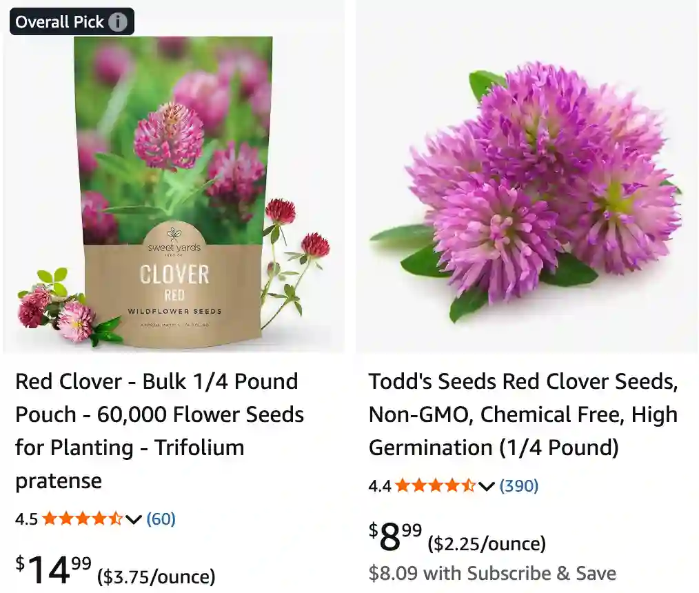 Trifolium Pratense: A Gardener's Time-Lapse and Botanical Insight into Red Clover 1 Trifolium Pratense 2 | Monsteraholic