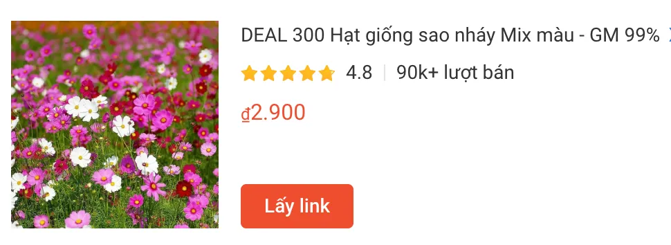 hoasao | Monsteraholic