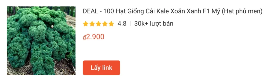 kale | Monsteraholic