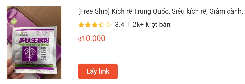 kichre | Monsteraholic