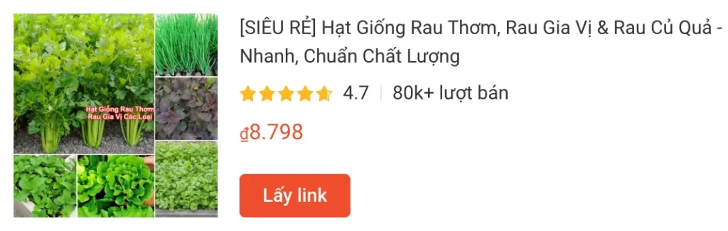 rau1 | Monsteraholic