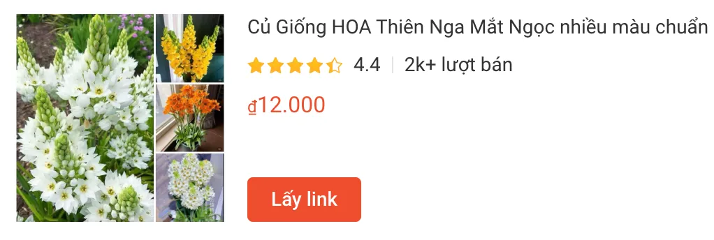 thiennga | Monsteraholic