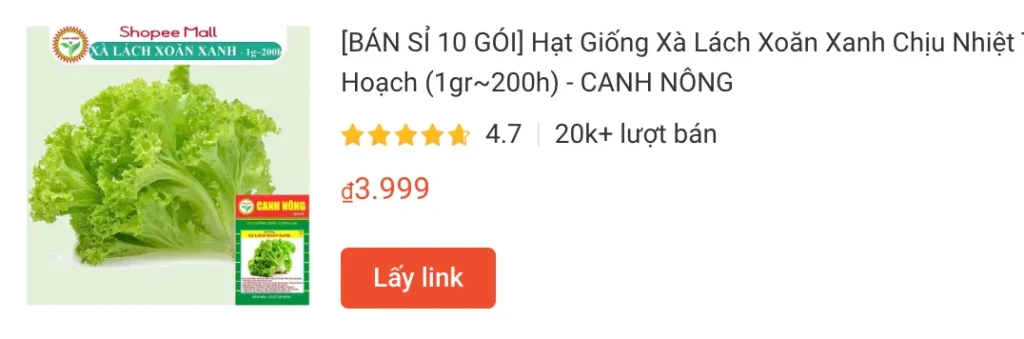 xalach | Monsteraholic